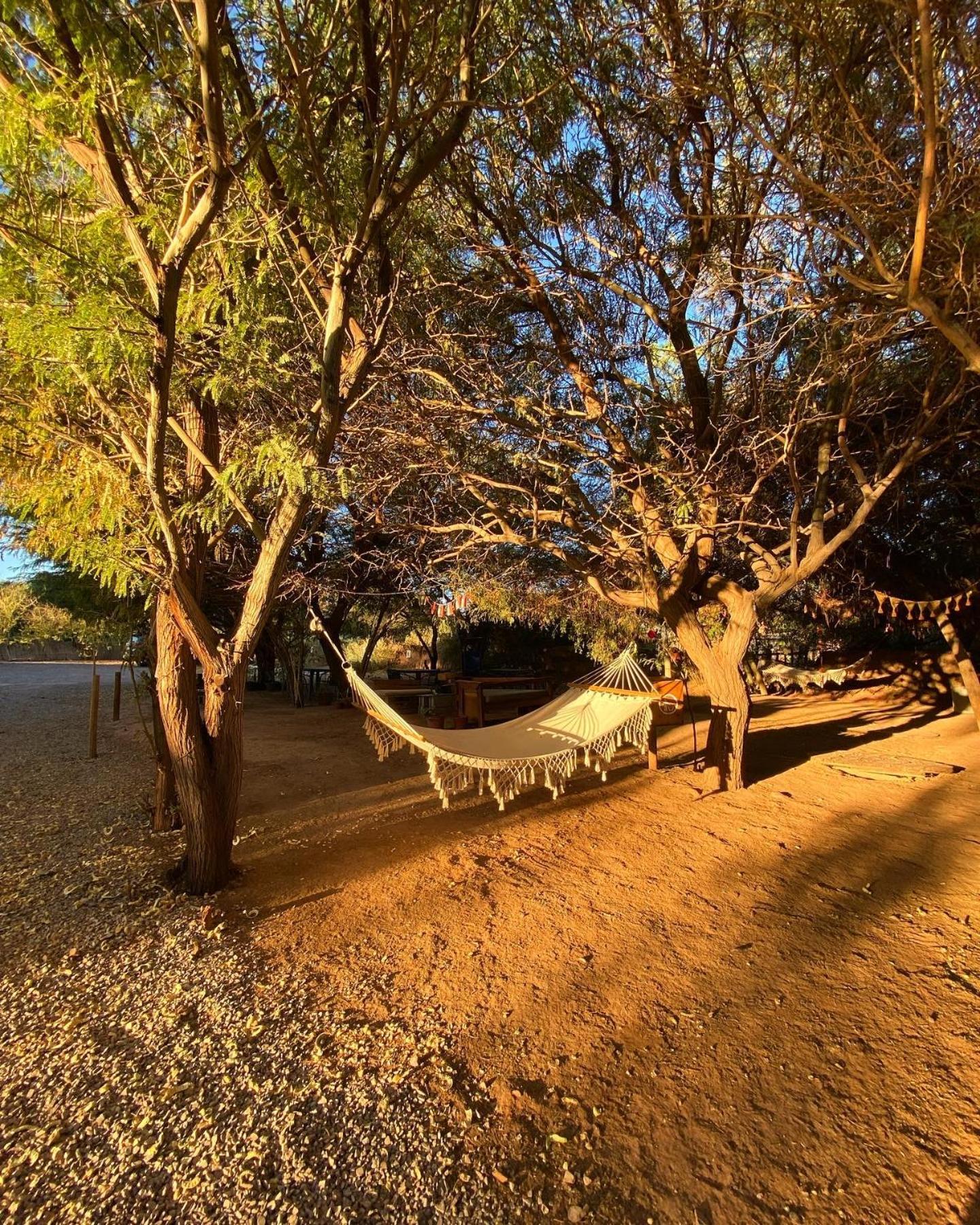 Caminandes Hostal San Pedro de Atacama Eksteriør bilde